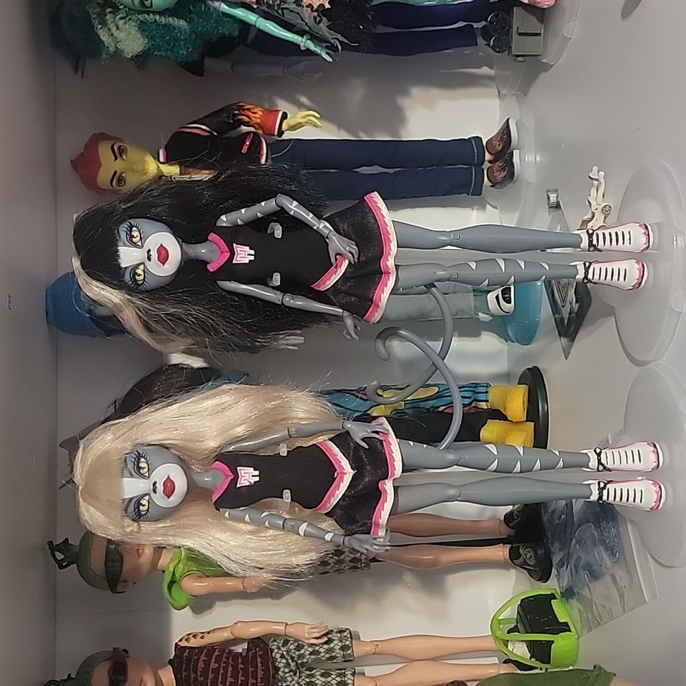 Monster high twin cats